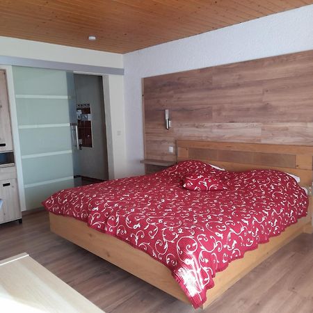 Oeko-Landhotel Basler Hof لاوترباخ المظهر الخارجي الصورة