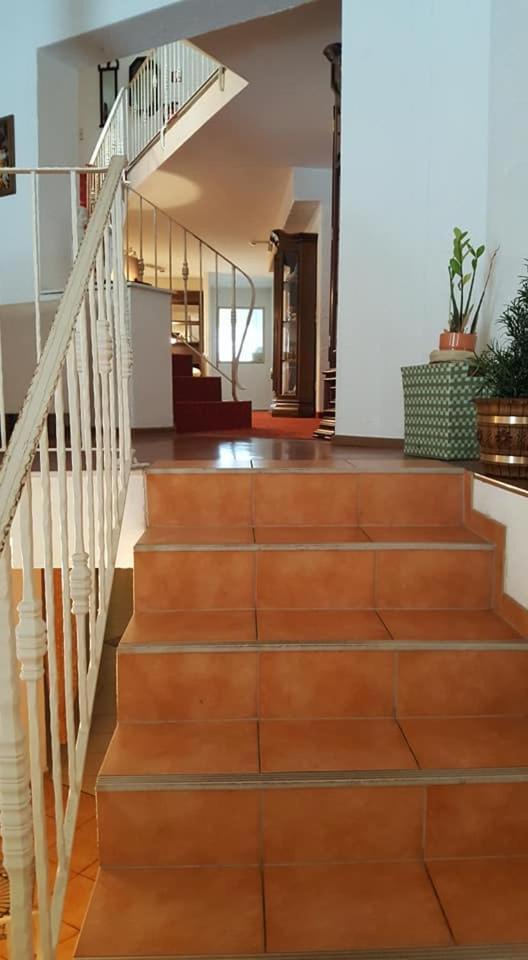 Oeko-Landhotel Basler Hof لاوترباخ المظهر الخارجي الصورة